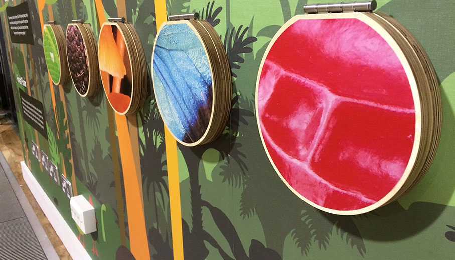 Printed interpretation flaps with hinge for rainforest exhibition