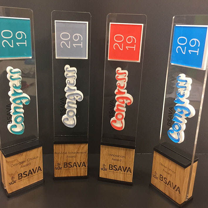 Wooden and acrylic award with custom branding