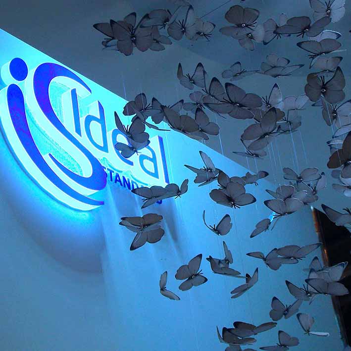 exhibition lighting of butterfly exhibit